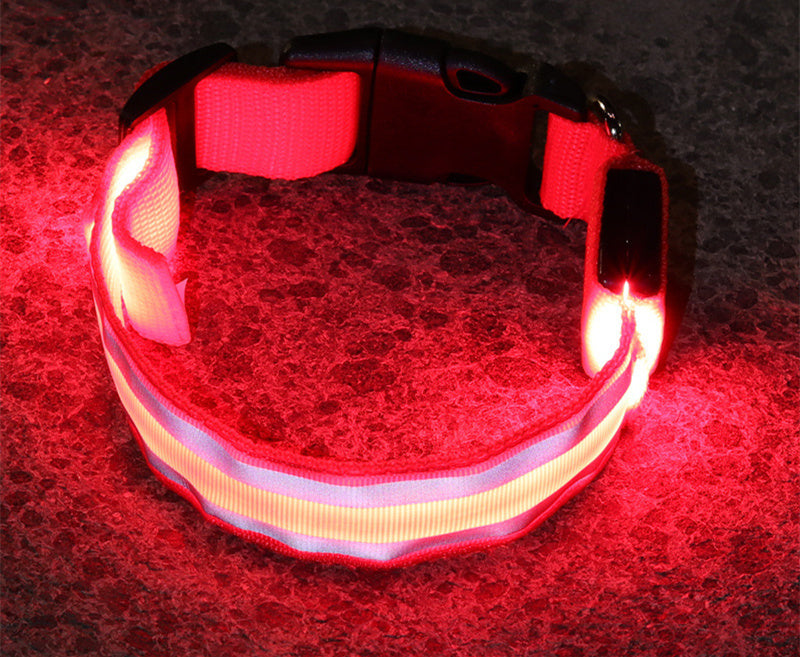 SafeGlow LED Dog Collar