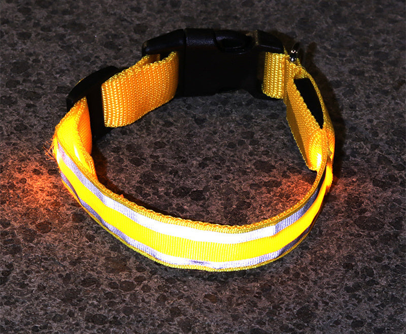 SafeGlow LED Dog Collar