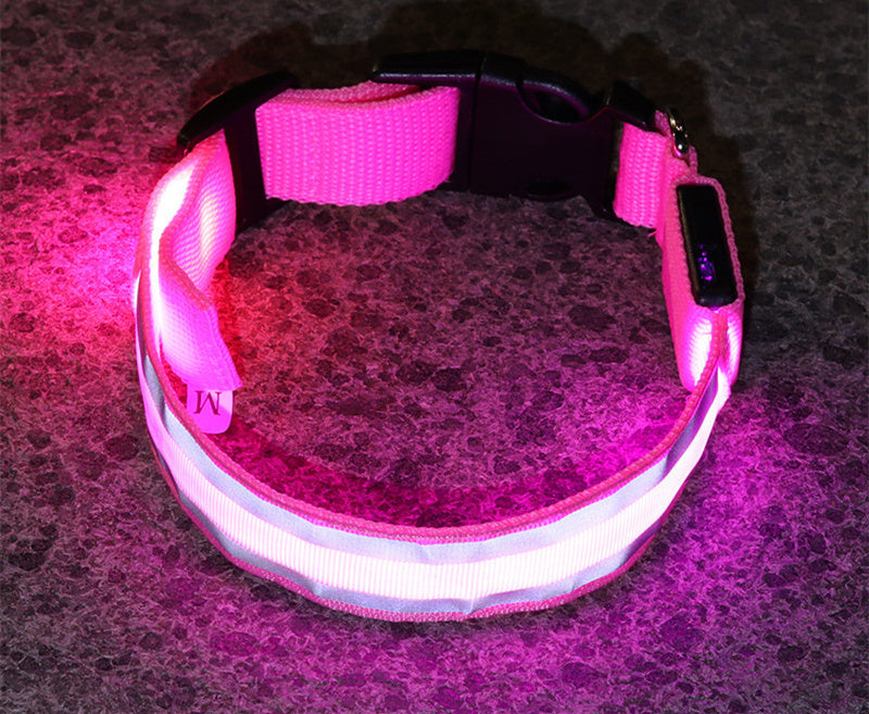 SafeGlow LED Dog Collar