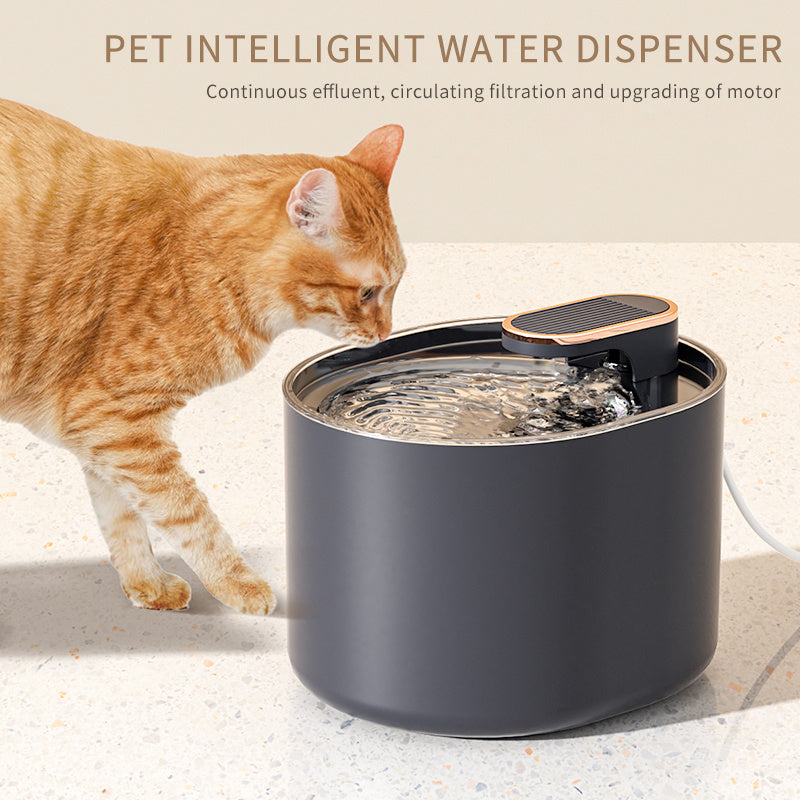 HydroPaw Fountain