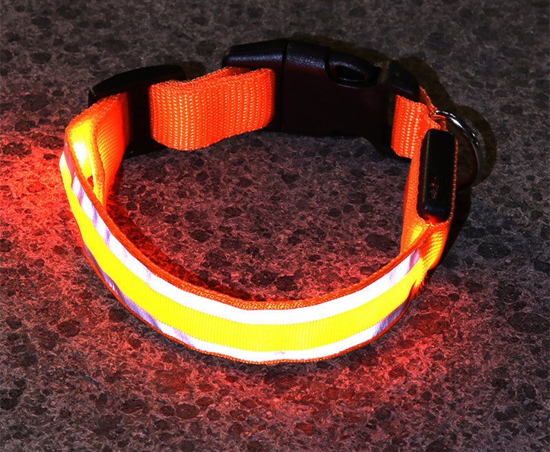 SafeGlow LED Dog Collar
