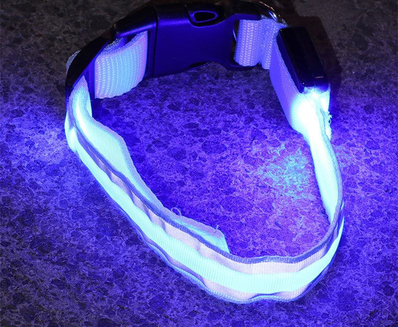 SafeGlow LED Dog Collar