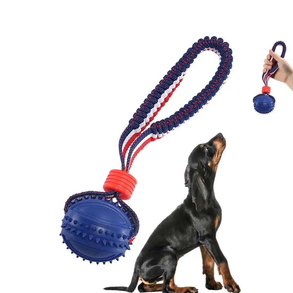 ChewChase Ball