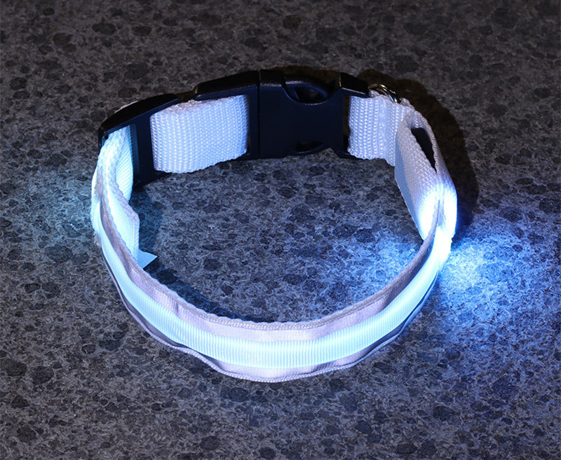 SafeGlow LED Dog Collar
