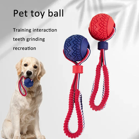 ChewChase Ball