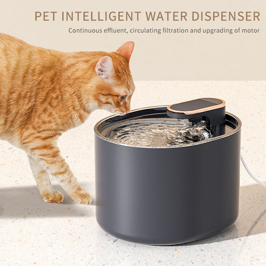 HydroPaw Fountain