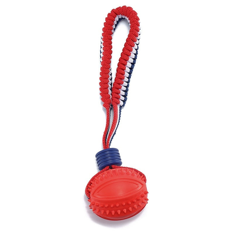 ChewChase Ball
