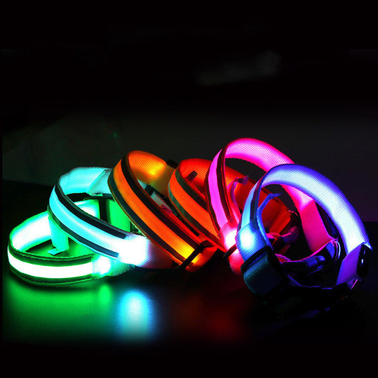 SafeGlow LED Dog Collar